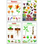 Set of 4 Plant Charts
