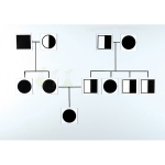 Genetic and Inheritance Magnetic Cards